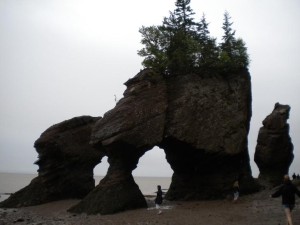 Bohužel bylo špatné počasí, ale tyto skály nazvané Hopewell Rocks jsou zajímavé tím, že se každých 6 hodin zalijou vodou. Místo v Novém Brunswicku je jedno z nejvyšších přílivů.